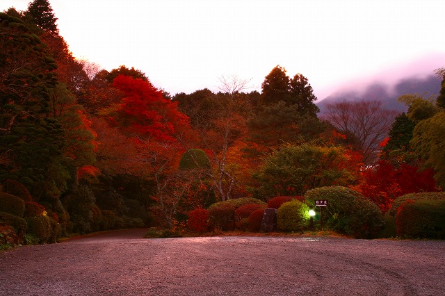 仙郷楼の庭園_秋011
