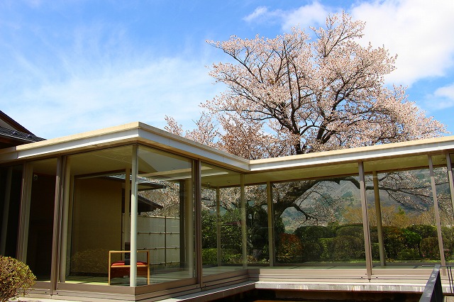 仙郷楼の庭園_春023