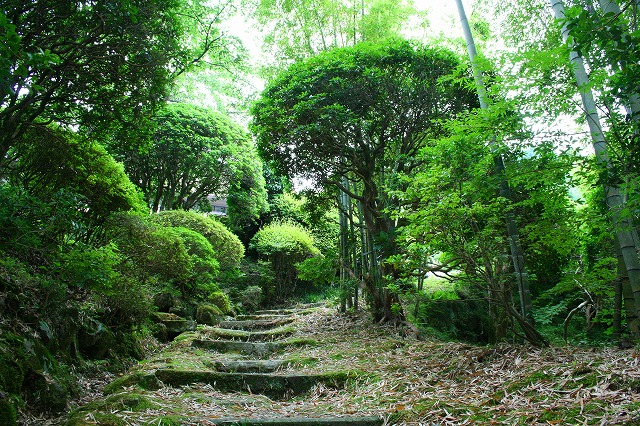 仙郷楼の庭園_夏003