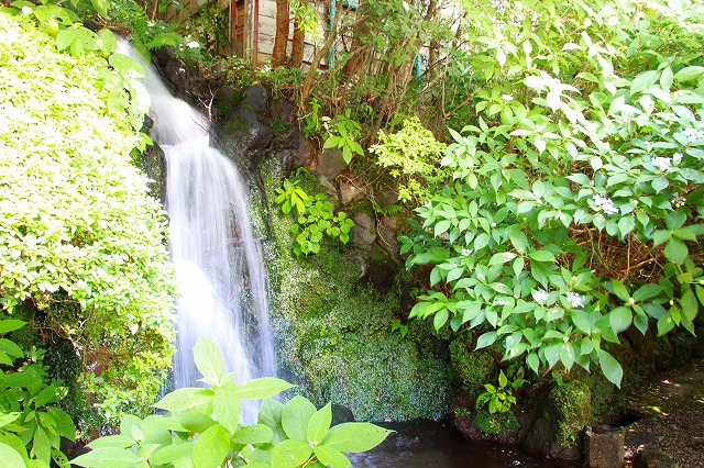 仙郷楼の庭園_夏006