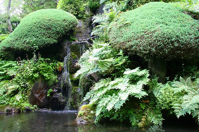 仙郷楼の庭園_夏016
