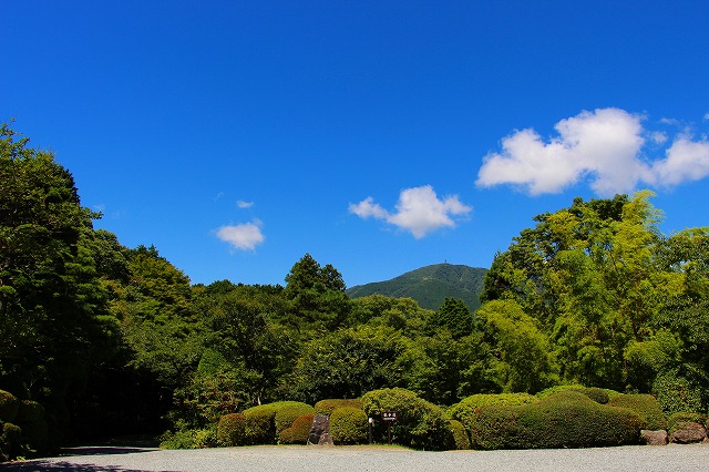 仙郷楼の庭園_夏021